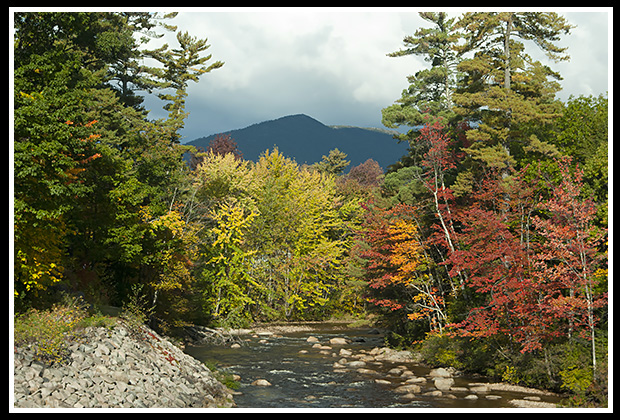 autumn fall foliage in the mountains