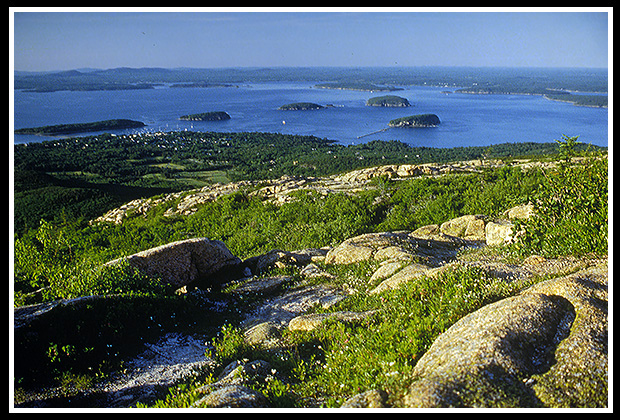 top of Cadillac Mountain in Acadia
