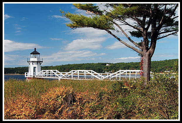 Doubling Point light during fall season